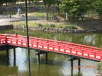 松本城紅橋